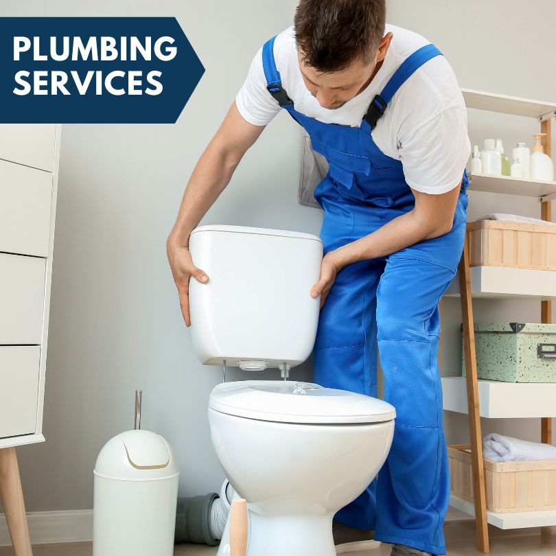 Plumbing Company in Pinon, AZ